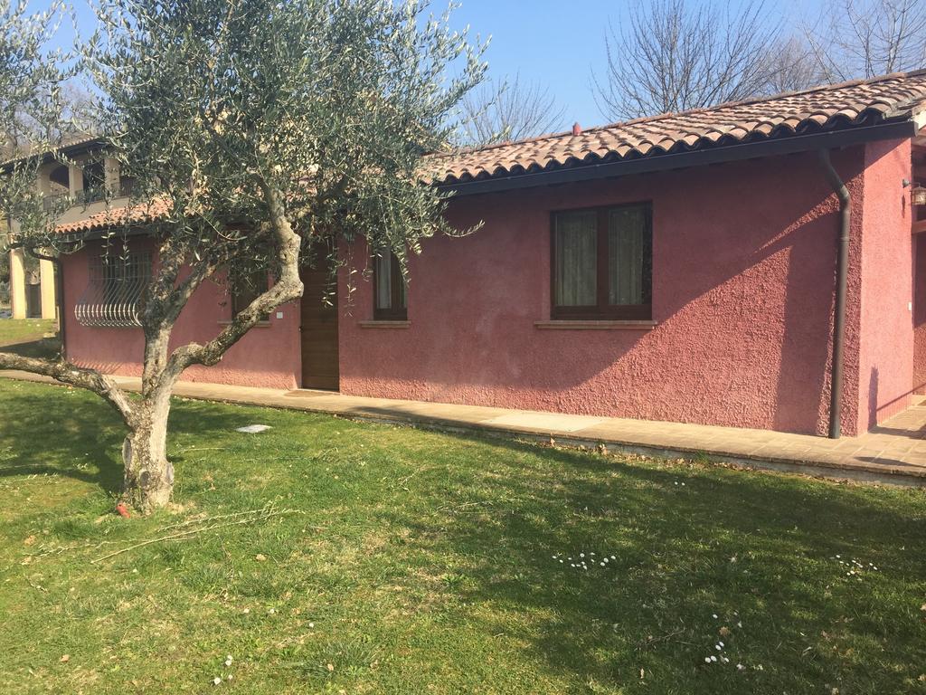 Bed And Breakfast I Nidi Petrignano Rum bild